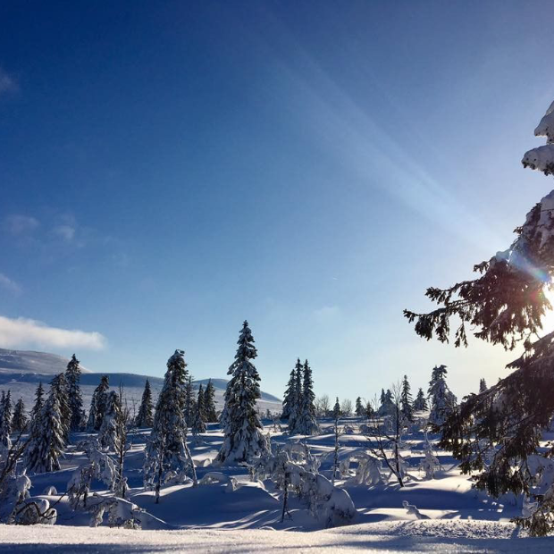 Slēpošana Norvēģijā